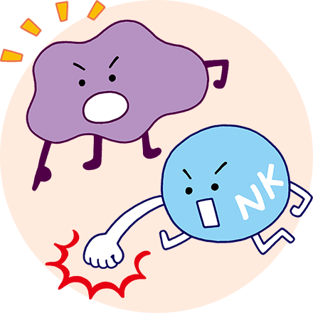 攻撃するNK細胞